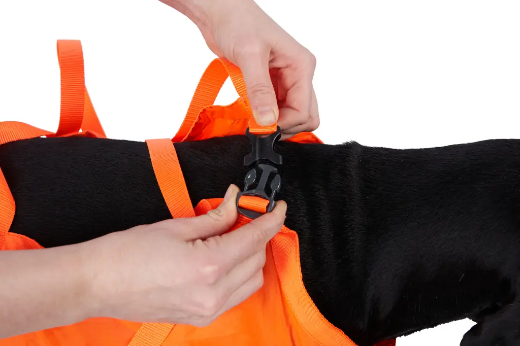 DogRescueSling_Orange_29753-29756_02.webp