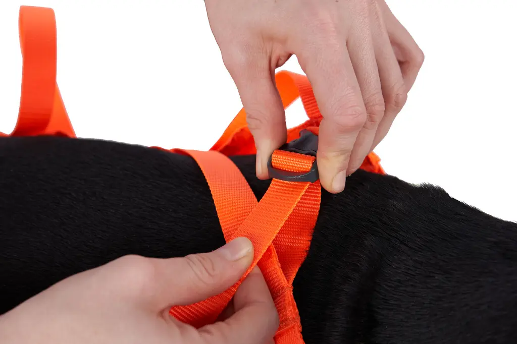 DogRescueSling_Orange_29753-29756_06.webp