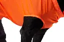 DogRescueSling_Orange_29753-29756_03.webp
