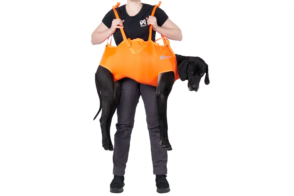 dog_rescue_sling 7.webp