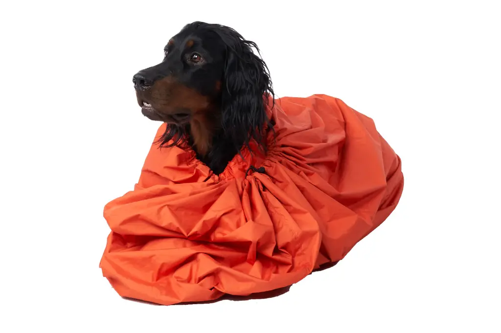 bivvy_bag_3.webp