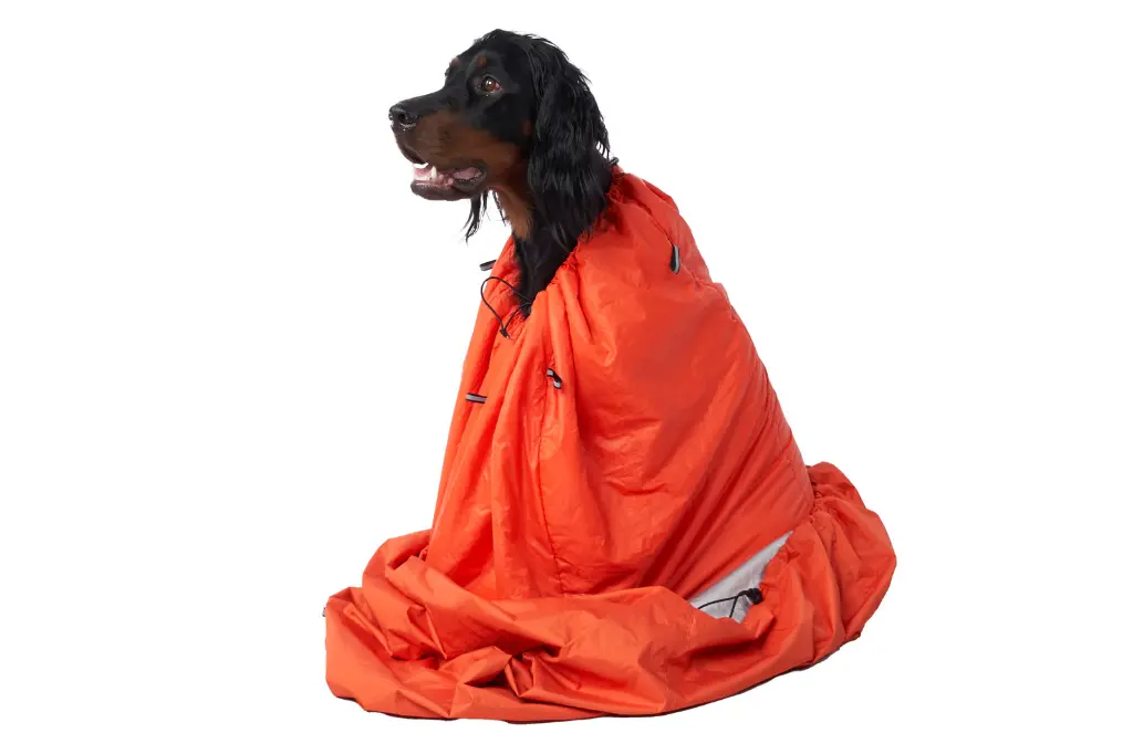 bivvy_bag_2.webp