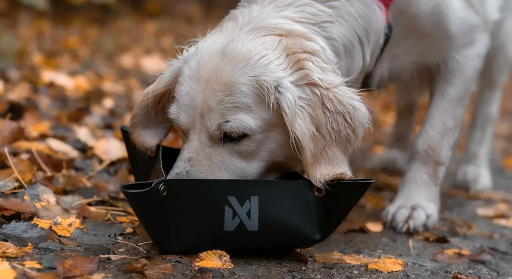 trekking_bowl_mood_1.webp
