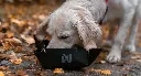 trekking_bowl_mood_1.webp