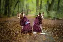 Orbiloc_Dog_Dual[Mixed; Pink, Turquoise; MSR_PRO; QMA; Coat; Long-fur; Medium-dog; @jimbordercollie]_LR.webp