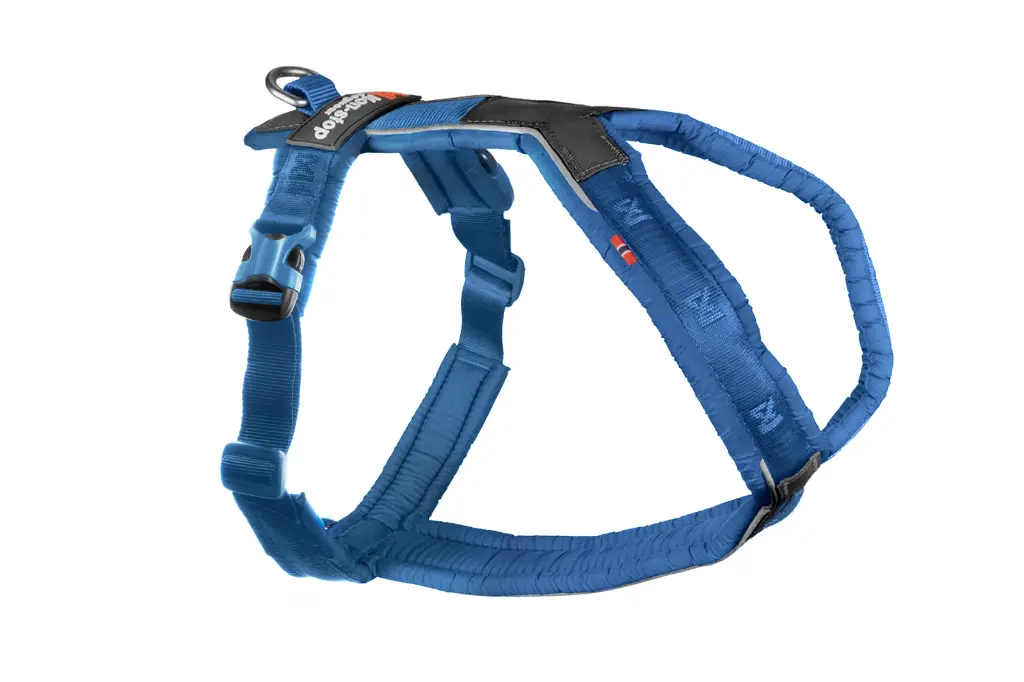 Line-harness-blue-webres-NY.webp