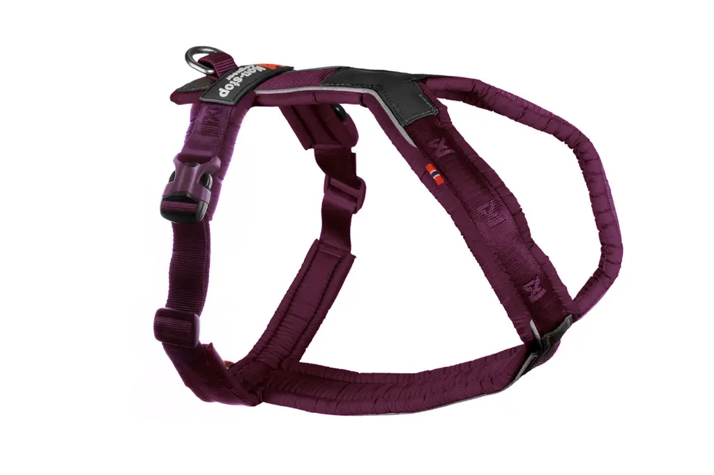 Line-harness-purple-webres-NY.webp
