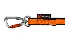 bungee_leash.webp