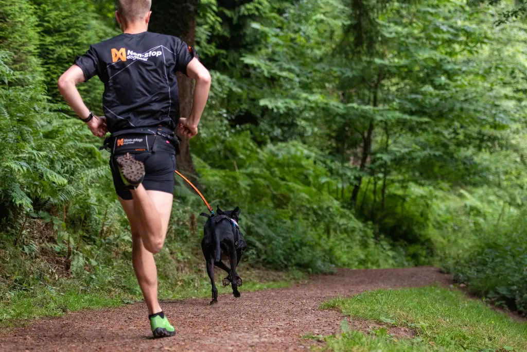 nonstopdogwear_Bungee Leash 2019, CaniX Belt, Freemotion Harness 2019_DSC_8709_4.webp