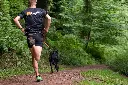 nonstopdogwear_Bungee Leash 2019, CaniX Belt, Freemotion Harness 2019_DSC_8709_4.webp