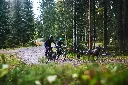 bungee_leash_7.webp