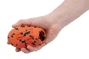 DogThrowToy_8100_02.webp