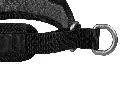 RockCollar3.0_15711, 15721, 15731, 15741, 15751, 15761, 15771, 15781_04.webp