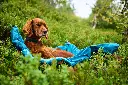 trekking_dog_bed5.webp