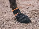 P1311570.webp