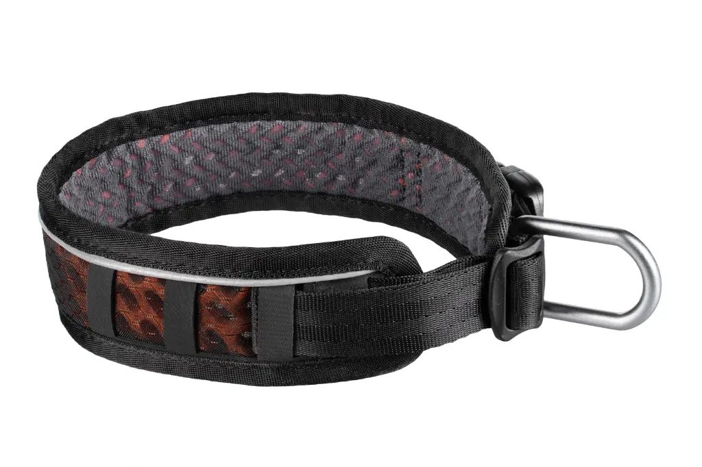 RockAdjustableCollar_3446-3449_02.webp