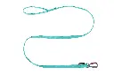 bungee_leash_aqua 1.webp