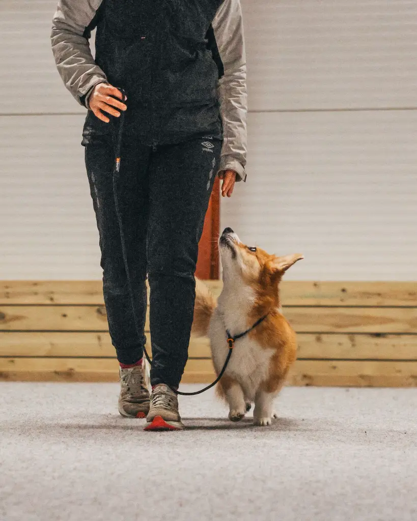 Bilde 05.01.2025, 19 22 43.webp