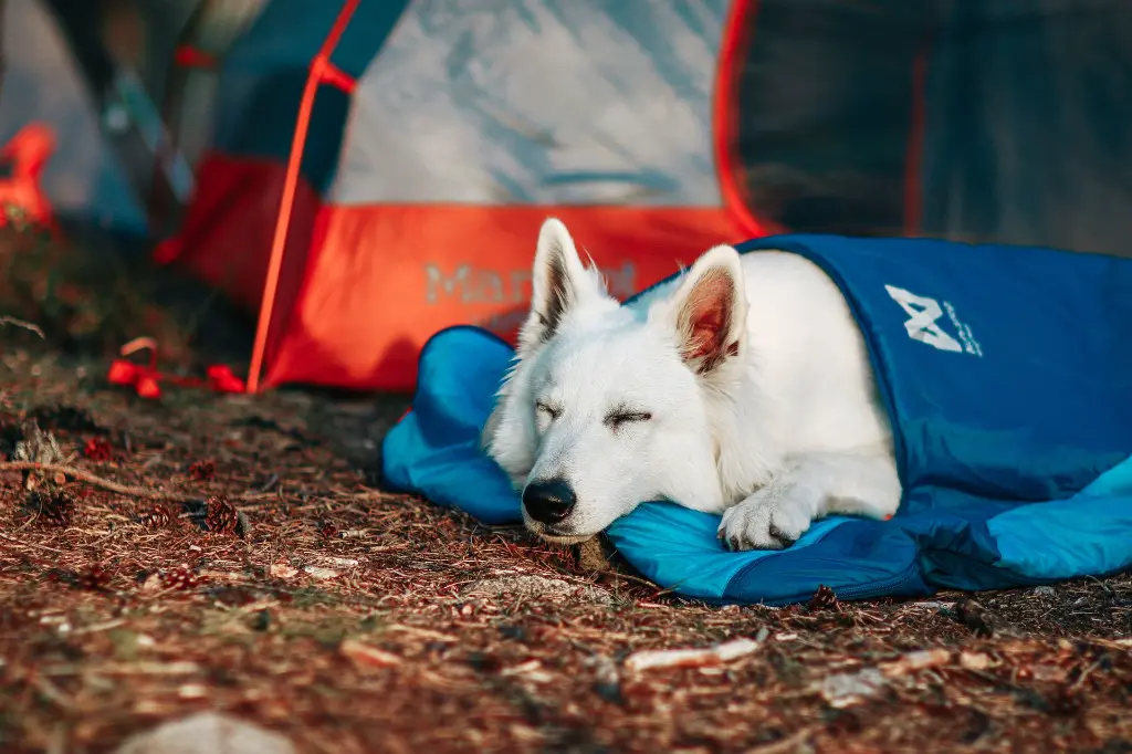 Bilde 12.06.2020, 23 35 02.webp