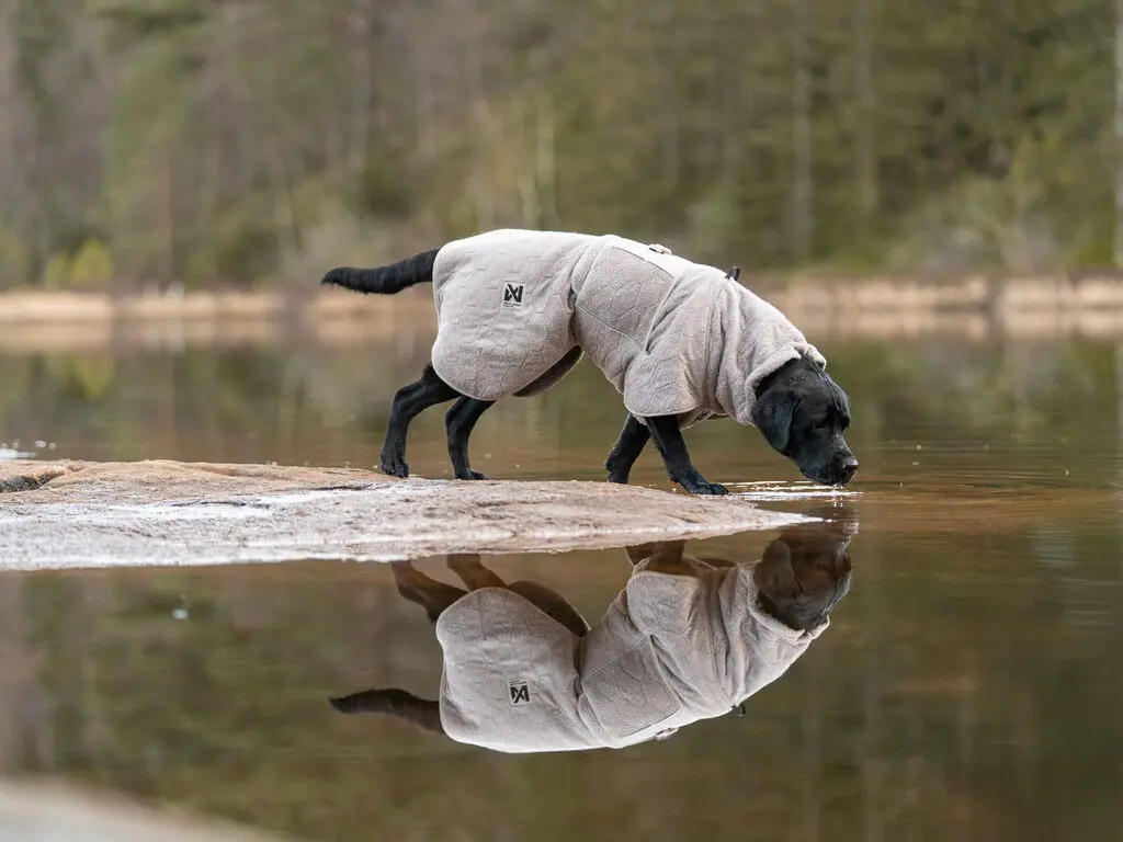 PR364BI3351_JKT_50036_Drying_coat_IMD.webp