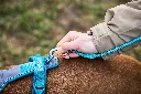 trekking_rope_leash_feature_1.webp