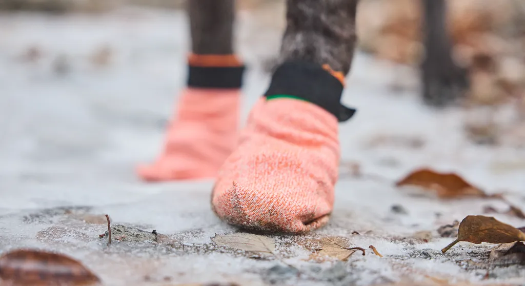 protector_light_socks_mood_1 (1).webp