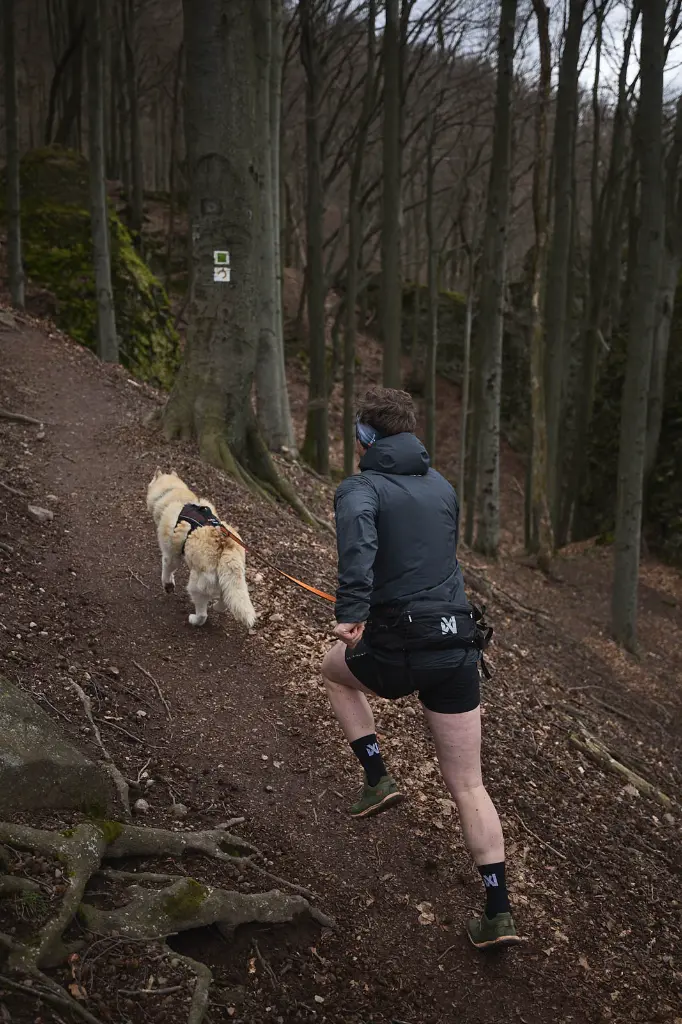 trail_light_belt_setting_1.webp