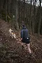 trail_light_belt_setting_1.webp