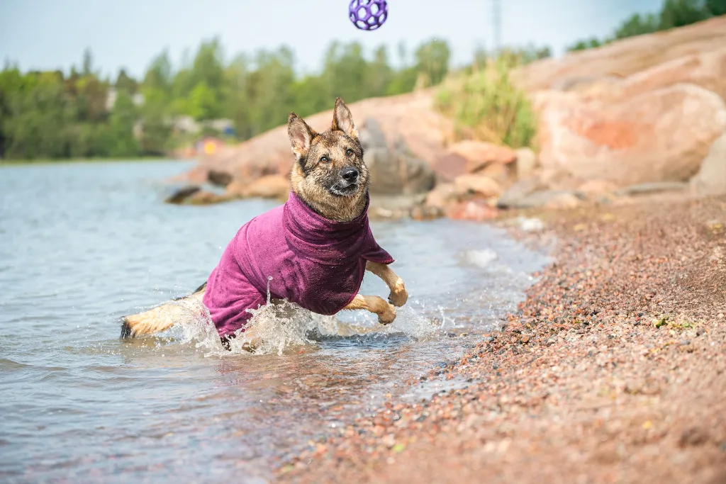 Bath_Plum31.webp