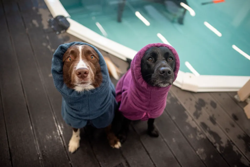 Bath_Plum_Midnight3.webp