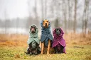Bath_Seasalt_Midnight_Plum9.webp