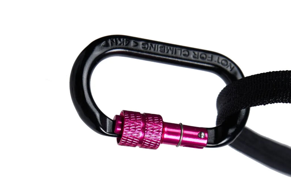 canix_belt_2_aqua-pink_3529-3531_1_feature.jpg.webp