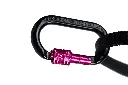 canix_belt_2_aqua-pink_3529-3531_1_feature.jpg.webp