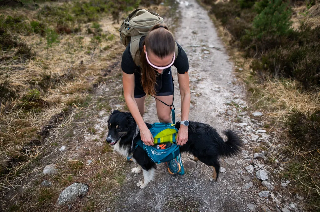 trail_quest_dog_backpack_B2B_5.webp