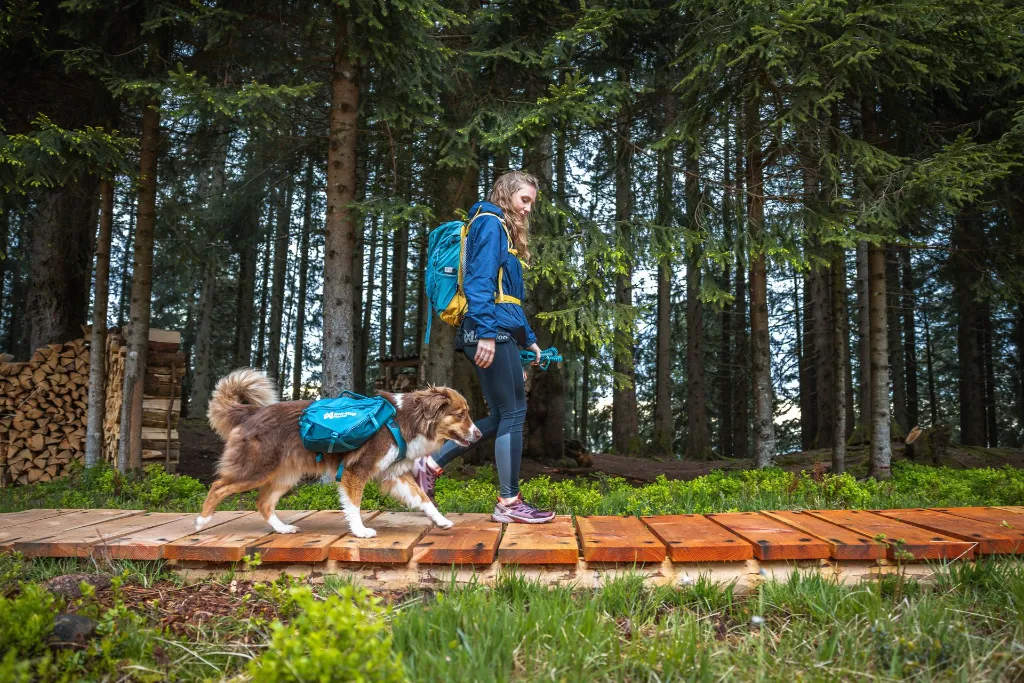 trail_quest_dog_backpack_B2B_12.webp