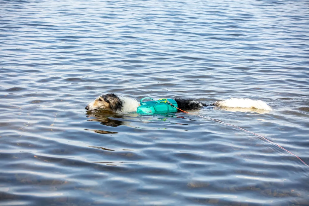 Swimming with Protector round long line.webp
