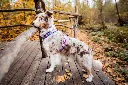 line-harness-5.0-rachel-pohl-edition-purple-pink-1614-1621-15-lifestyle.webp