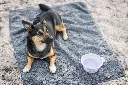 SettleMat9.webp