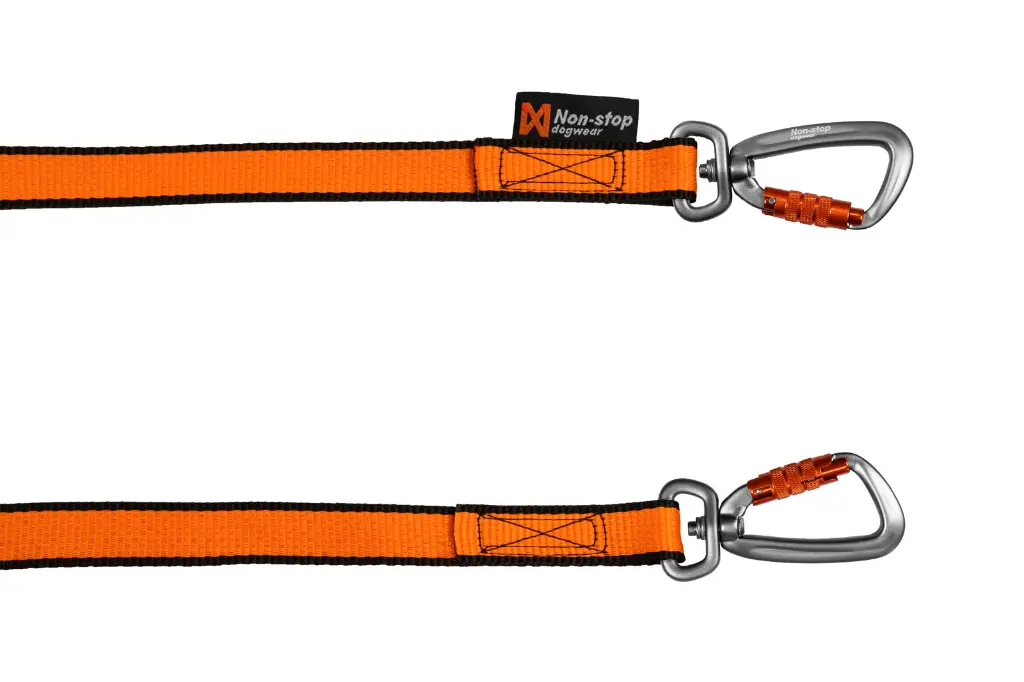 bungee_leash_double_2.webp