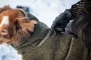 Woolie_Olive13.webp