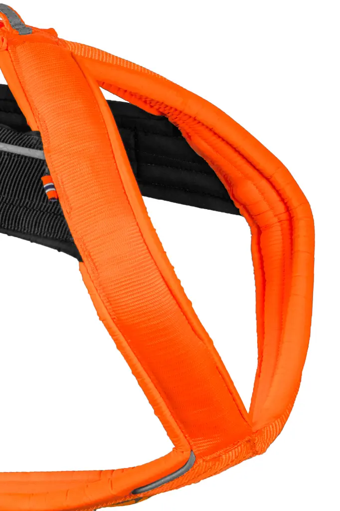 freemotion_harness_5_0_feature_1.webp