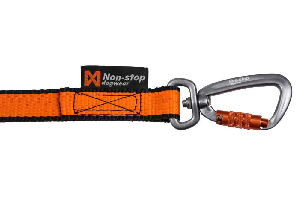 bungee_leash_double_3.webp
