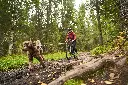 bike_antenna_B2B_4.webp
