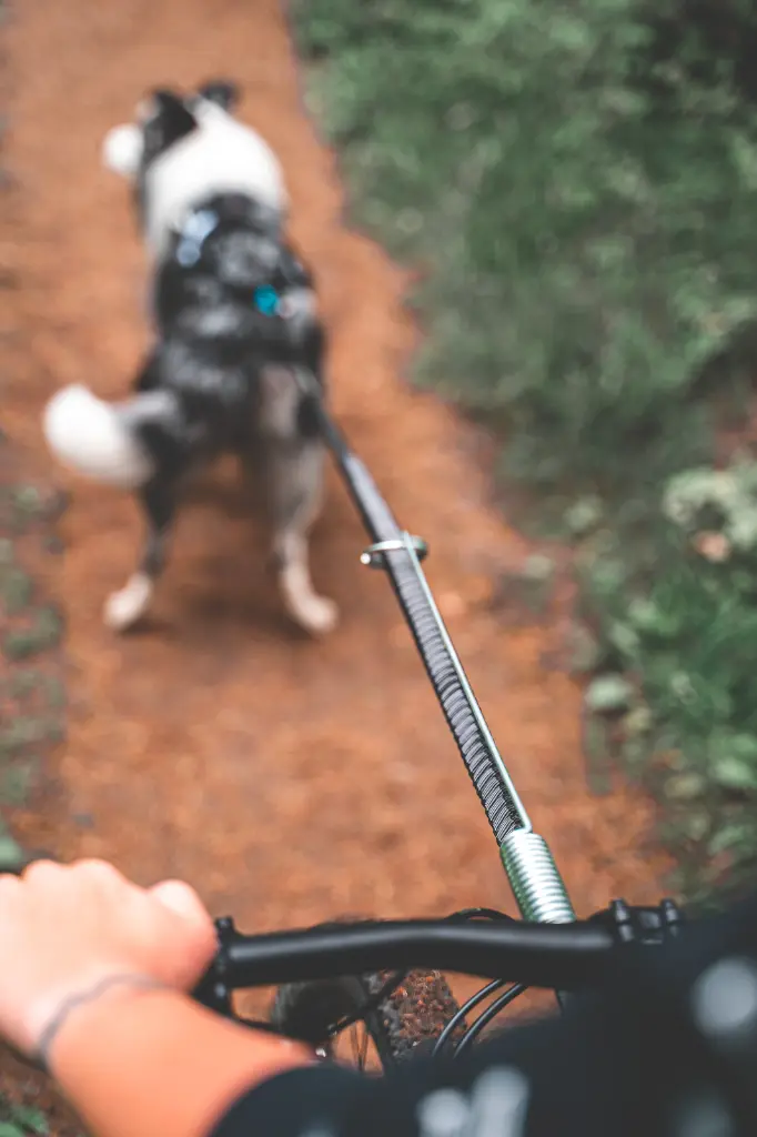 bike antenna_setting_b2b.webp