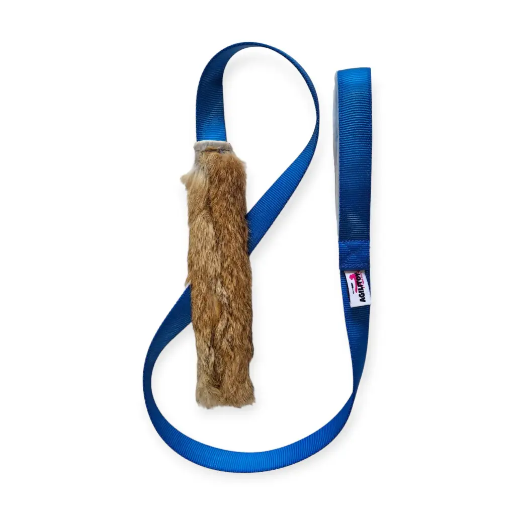 [R-RTZ-01] Rabbitaza (Blauw)