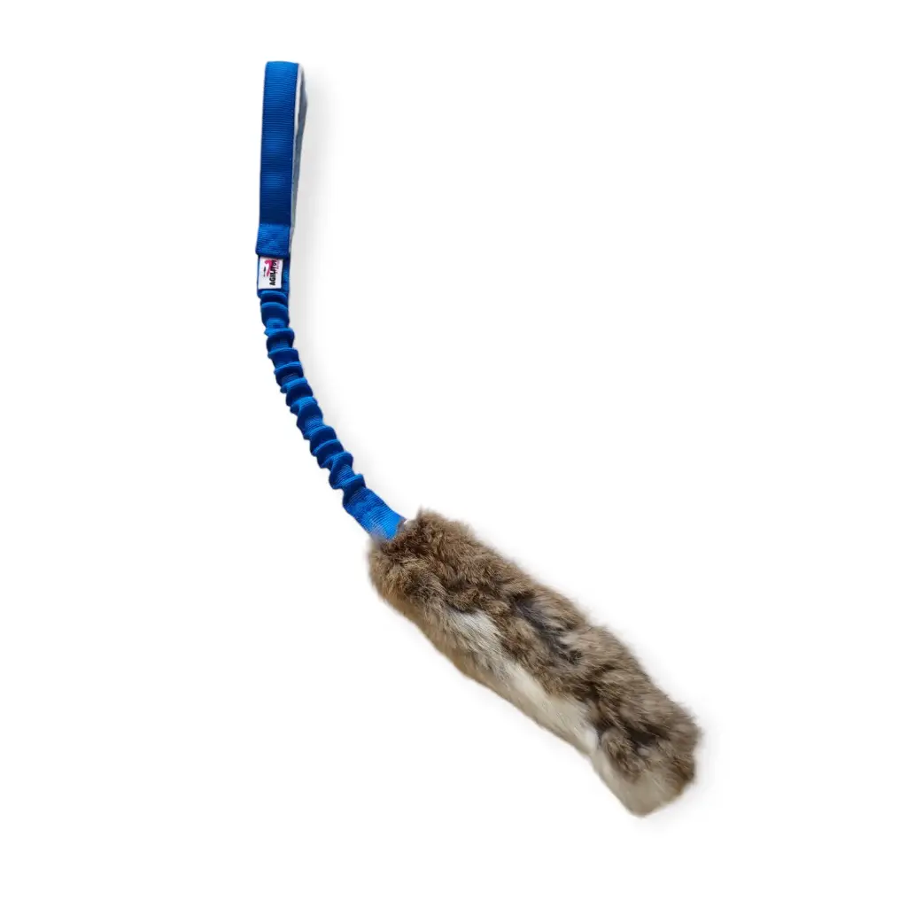 [R-BTL-01] Rabbitly (Blue)