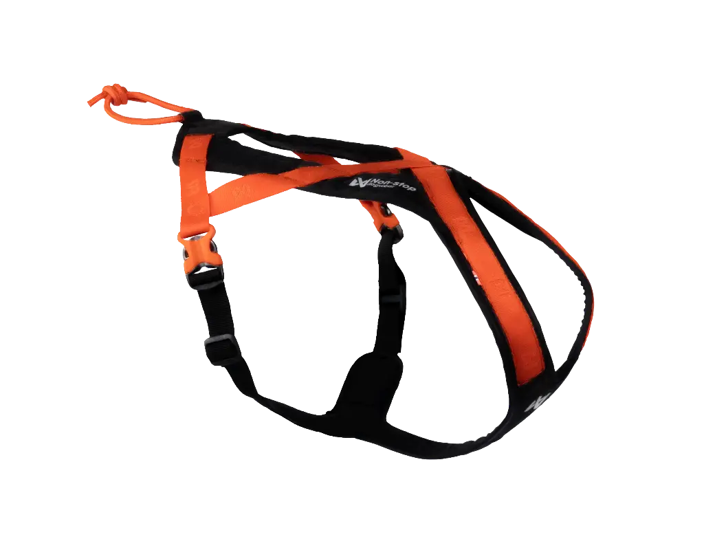 Rush harness – kurzes Zuggeschirr (black/orange, 1)