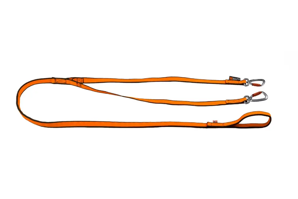 Bungee leash double – Zugleine für zwei Hunde