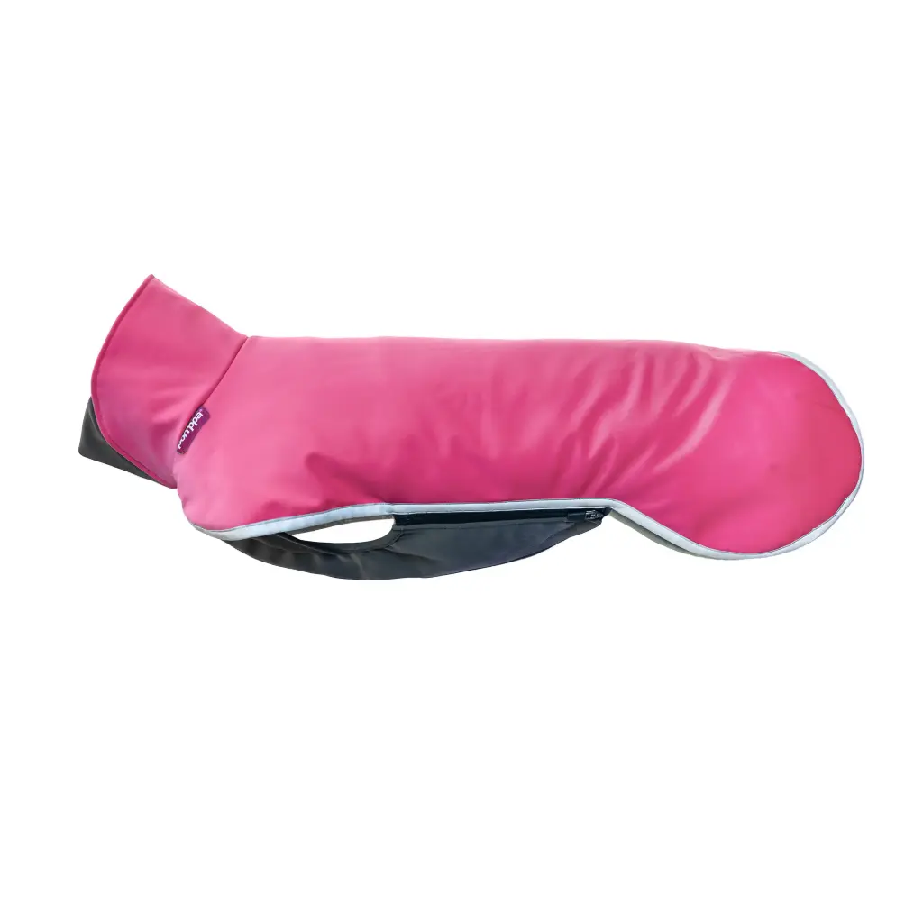 SporttiPomppa (Pink, 25)