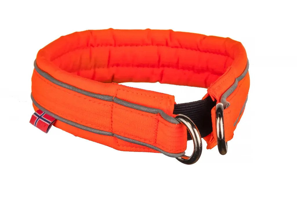 Safe Collar (50)